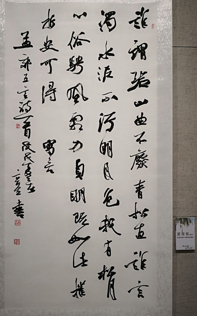 16夏奇星.jpg