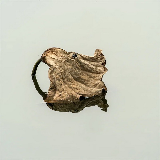 ia_100000018.jpg ia_100000018.jpg