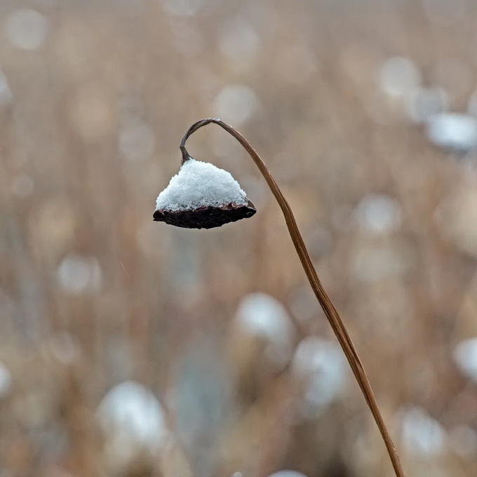 ia_100000019.jpg ia_100000019.jpg