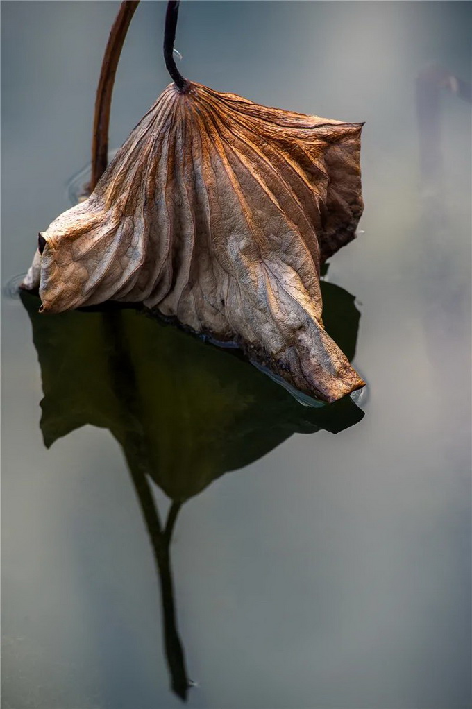 ia_100000020.jpg ia_100000020.jpg