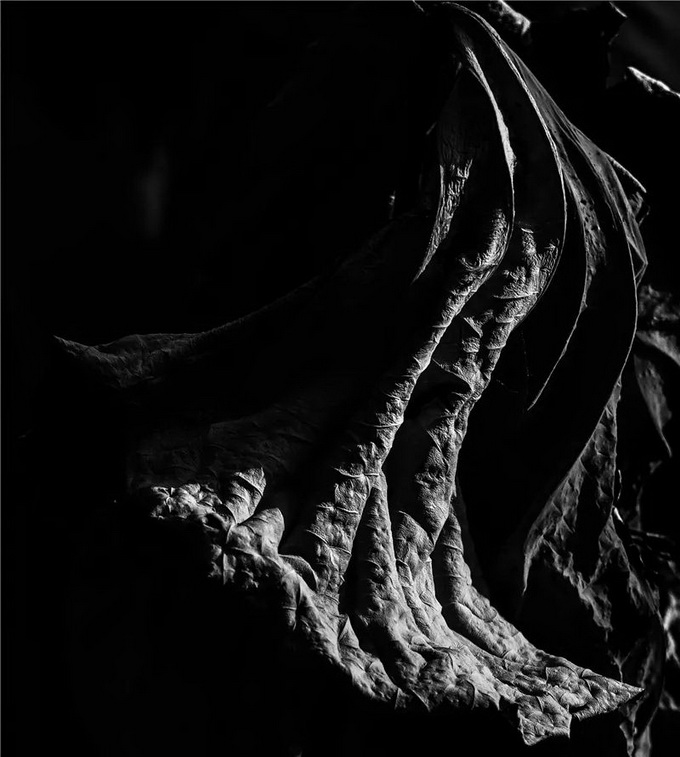 ia_100000022.jpg ia_100000022.jpg