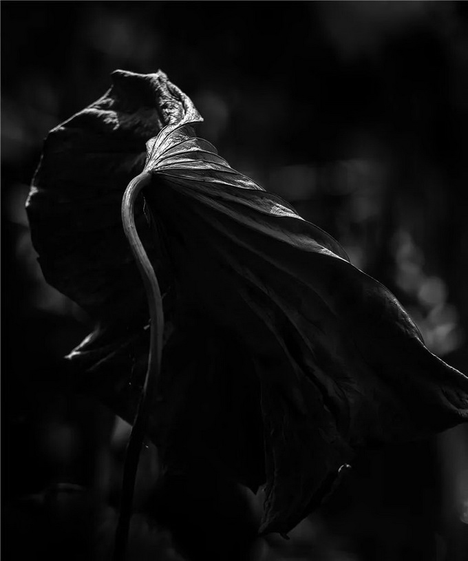 ia_100000023.jpg ia_100000023.jpg